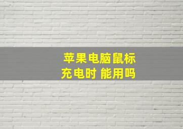 苹果电脑鼠标充电时 能用吗